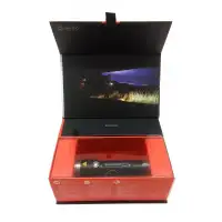 Latarka Ledlenser MT10