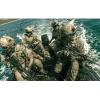 Okulary ochronne Wiley-X Saber Advanced Smoke