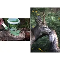 Pasta solna anyżowa, 2 kg