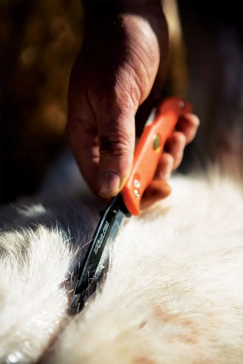 Nóż Outdoor Edge Razor Pro Orange