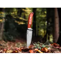 Nóż Boker Savannah Cocobolo