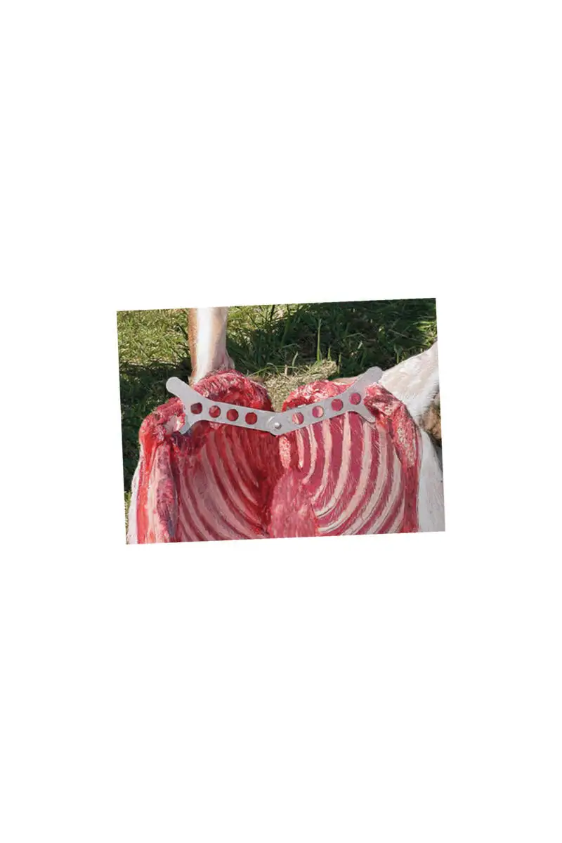 Zestaw Outdoor Edge Butcher-Lite