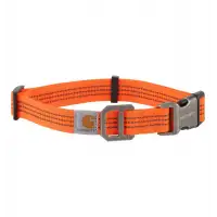 Obroża Carhartt Tradesman Dgo Collar HiViz Orange