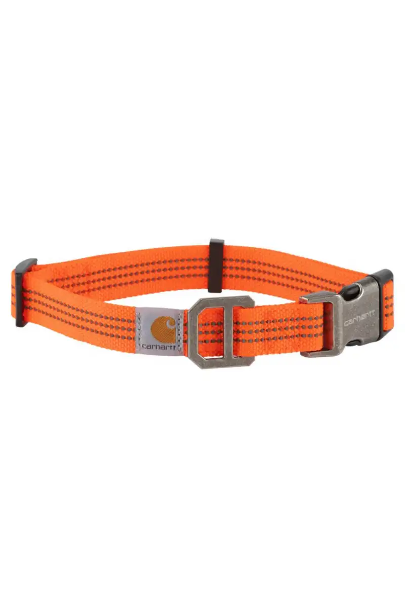 Obroża Carhartt Tradesman Dgo Collar HiViz Orange