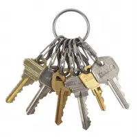 O-Ring do kluczy Nite Ize S-Biner KeyRing