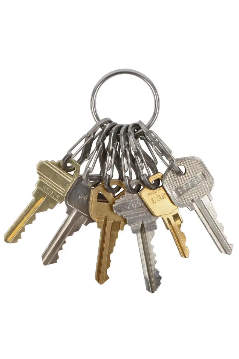 O-Ring do kluczy Nite Ize S-Biner KeyRing