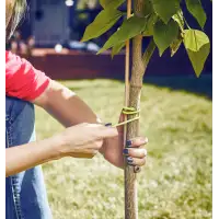 Elastyczna Opaska Nite Ize Gear Tie 12" 2Pack Neon