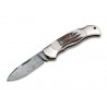 Nóż Boker Solingen Junior Scout Spearpoint Hirschh
