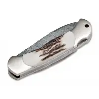 Nóż Boker Solingen Junior Scout Spearpoint Hirschh