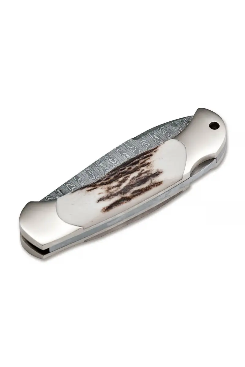 Nóż Boker Solingen Junior Scout Spearpoint Hirschh