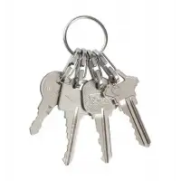 Kółko do kluczy Nite Ize KeyRing Microlink