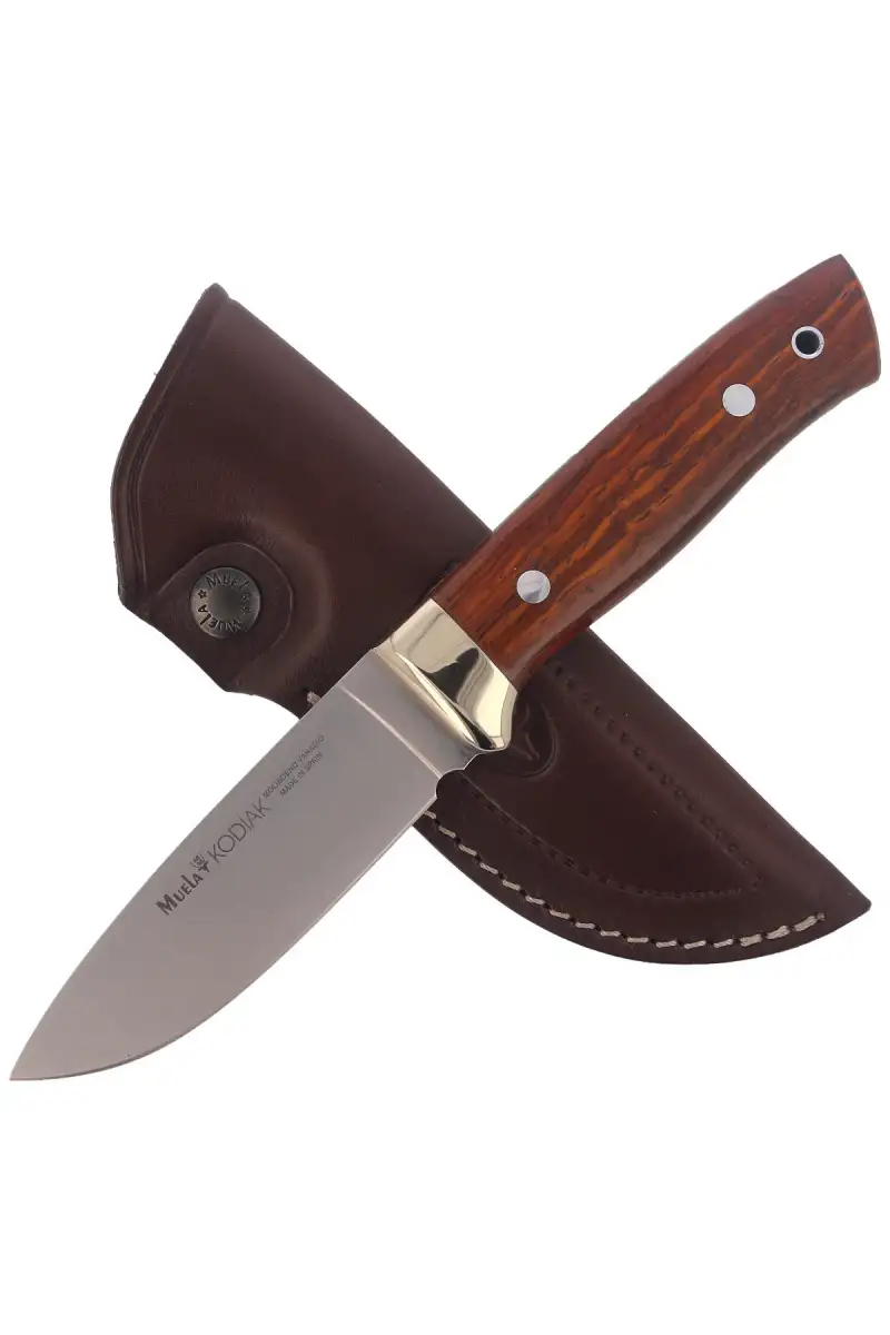 Nóż Muela Full Tang Cocobolo Wood, Satin 1.4116 (K