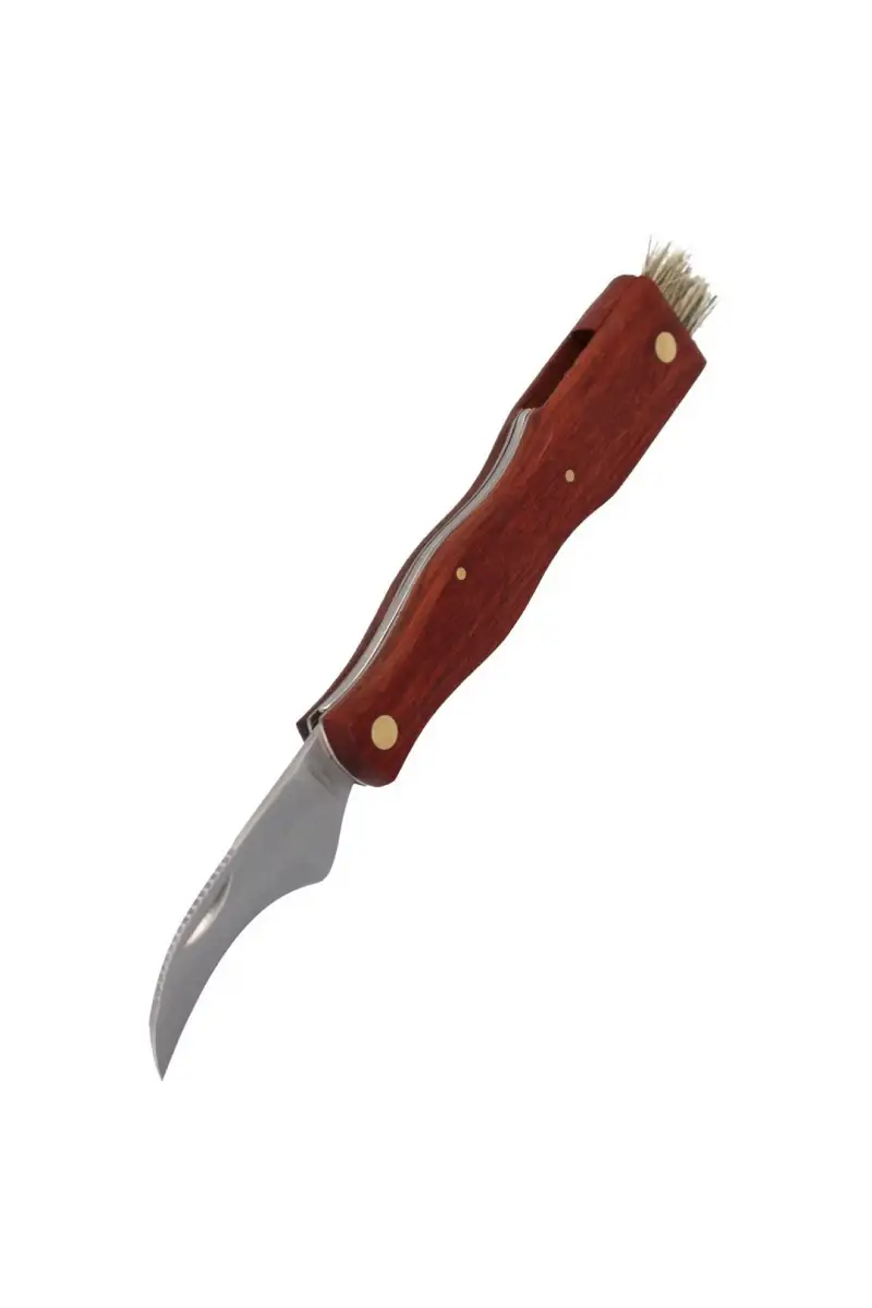 Nóż do grzybów Herbertz Solingen Brown Wood, Satin