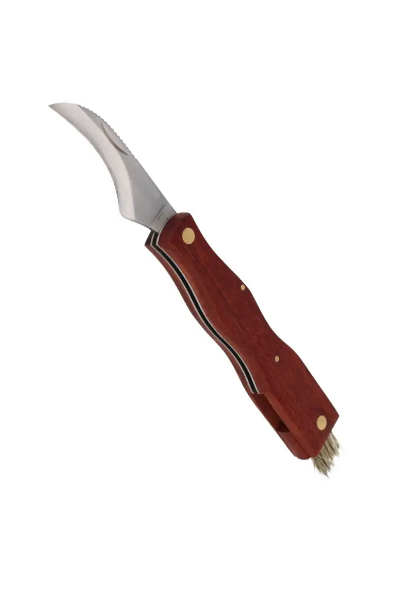 Nóż do grzybów Herbertz Solingen Brown Wood, Satin