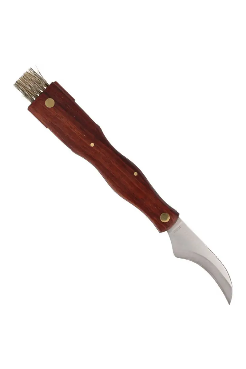 Nóż do grzybów Herbertz Solingen Brown Wood, Satin