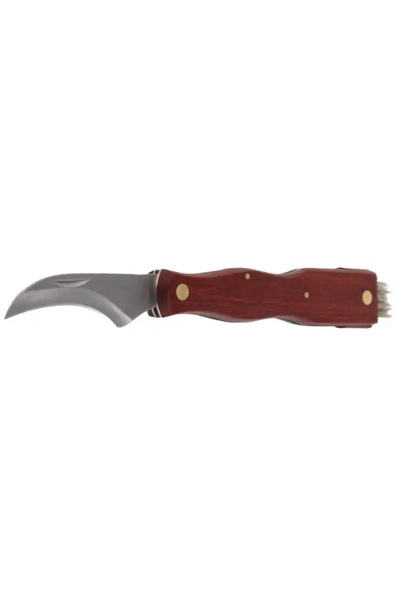 Nóż do grzybów Herbertz Solingen Brown Wood, Satin