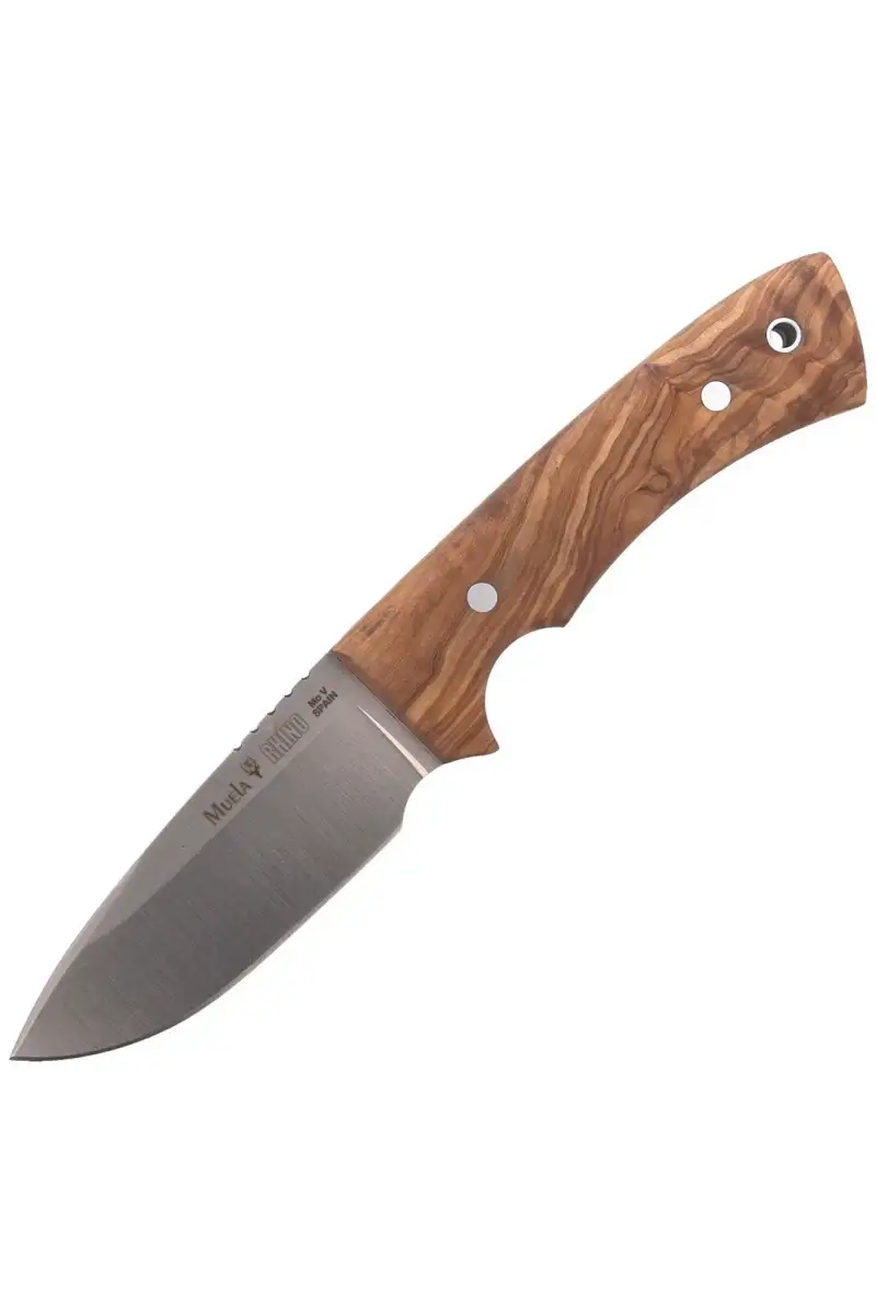 Nóż Muela Full Tang Olive Wood, Satin 1.4116 (RHIN