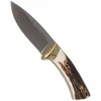 Nóż Muela Colibri Deer Stag, Satin X50CrMoV15 (COL