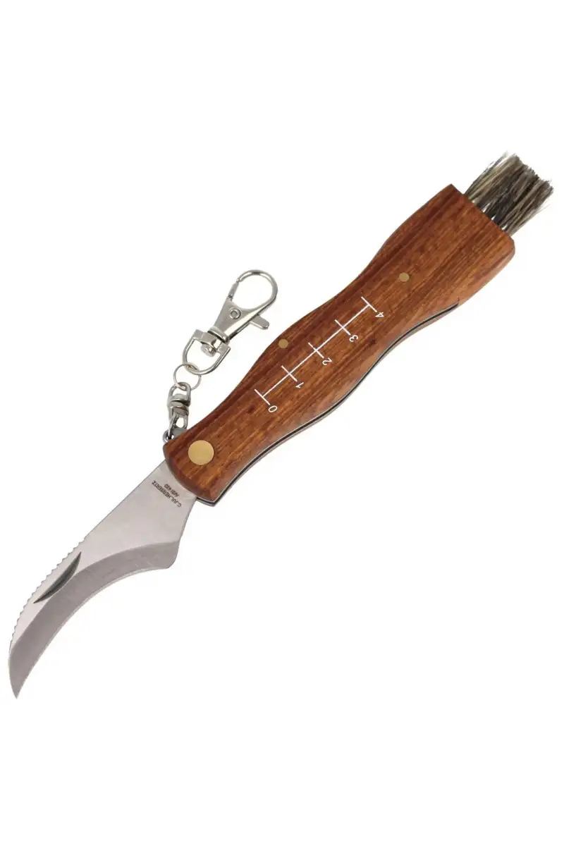 Nóż do grzybów Herbertz Solingen Rosewood 73mm (20