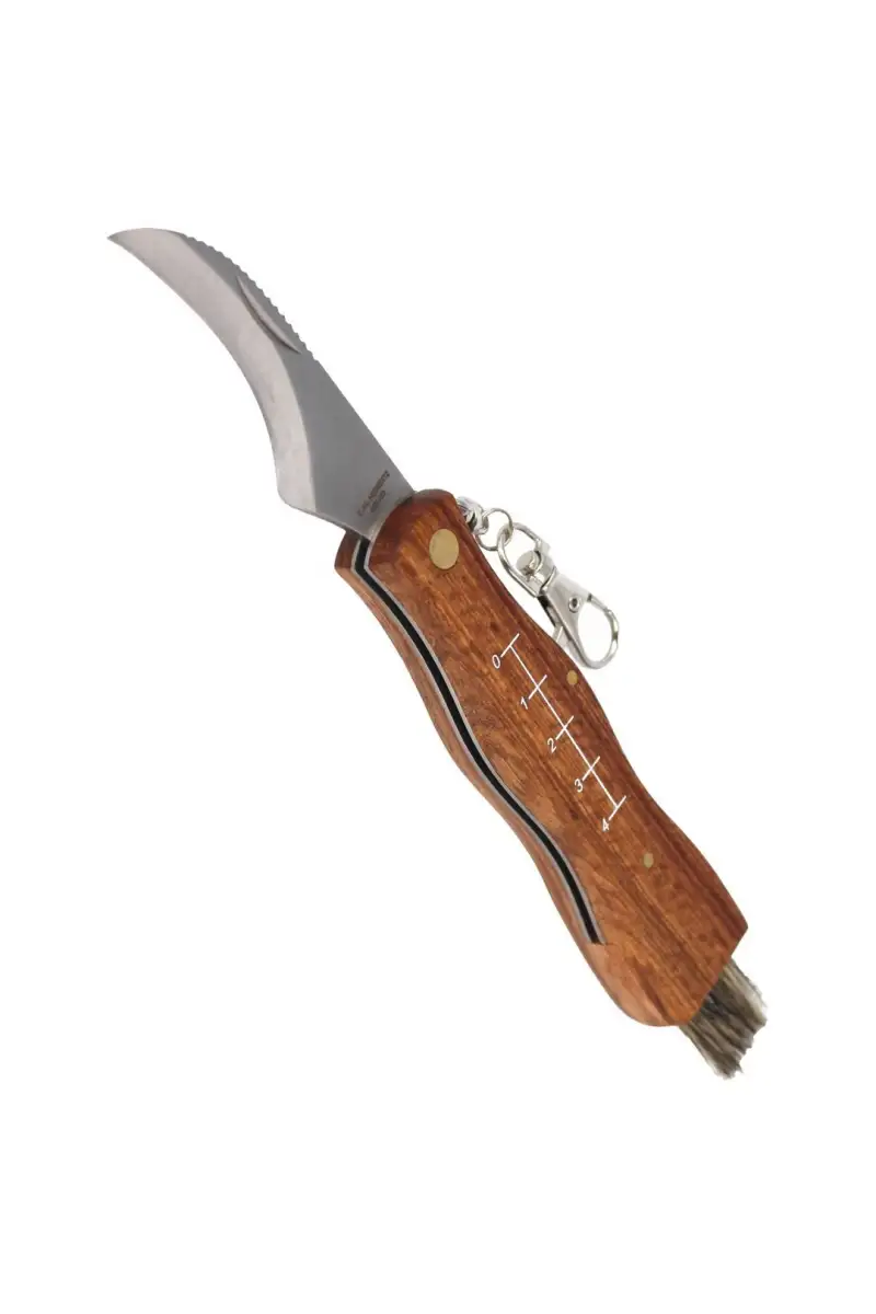 Nóż do grzybów Herbertz Solingen Rosewood 73mm (20