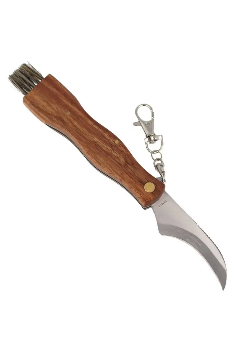 Nóż do grzybów Herbertz Solingen Rosewood 73mm (20