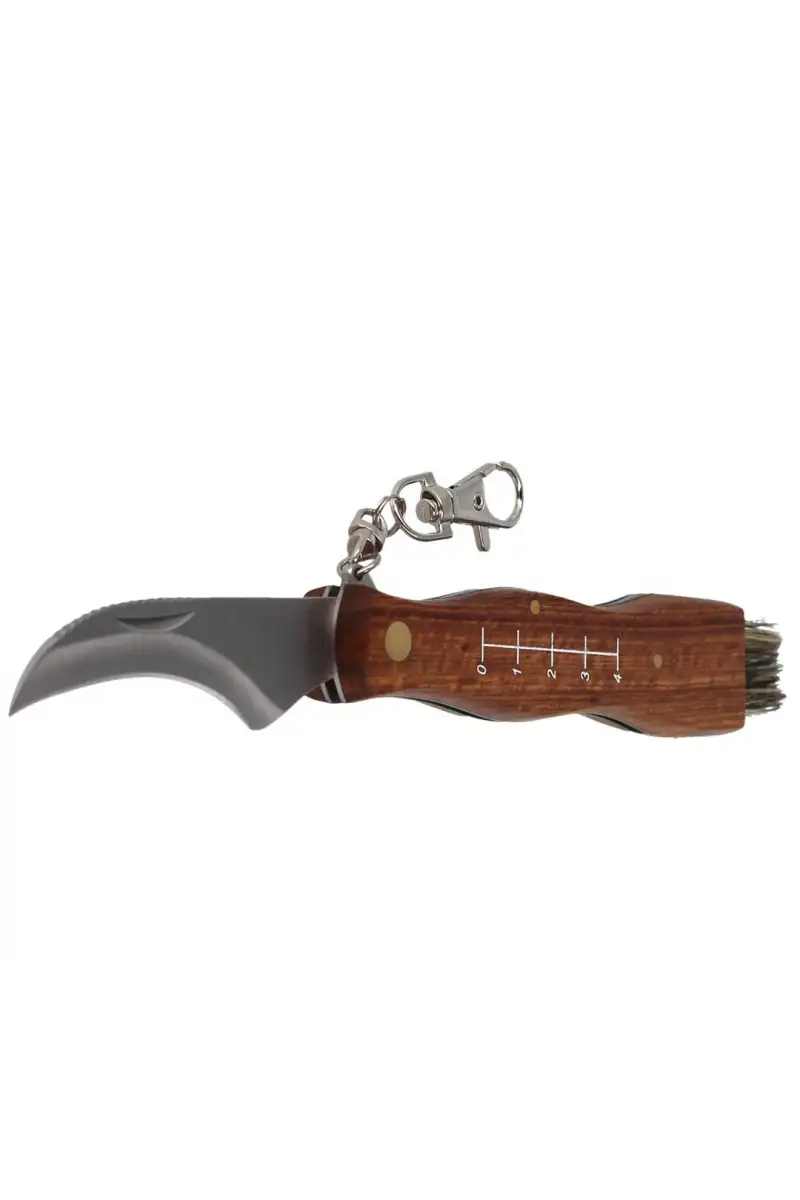 Nóż do grzybów Herbertz Solingen Rosewood 73mm (20