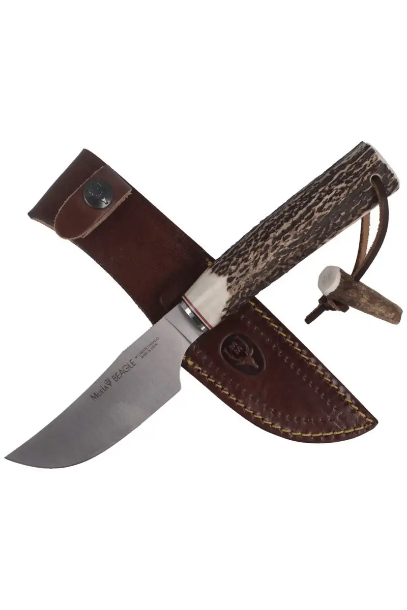 Nóż Muela Deer Stag, Satin 1.4116 (BEAGLE-11A)