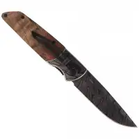Nóż Herbertz Solingen Root Wood, Dark Blade (58491