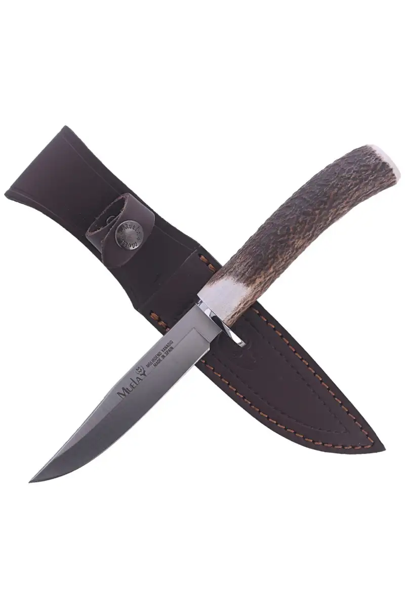 Nóż Muela Gredos Hunting Dear Stag 120A (GRED-12A)