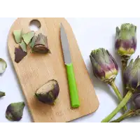Opinel Les Essentiels Nóż Serrated Green