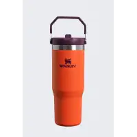 Stanley Kubek The IceFlow Flip Straw Tumbler 0,89