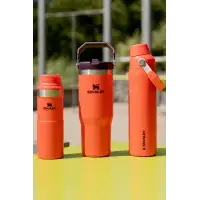 Stanley Butelka na wodę Aerolight™ IceFlow™ 0,6 l