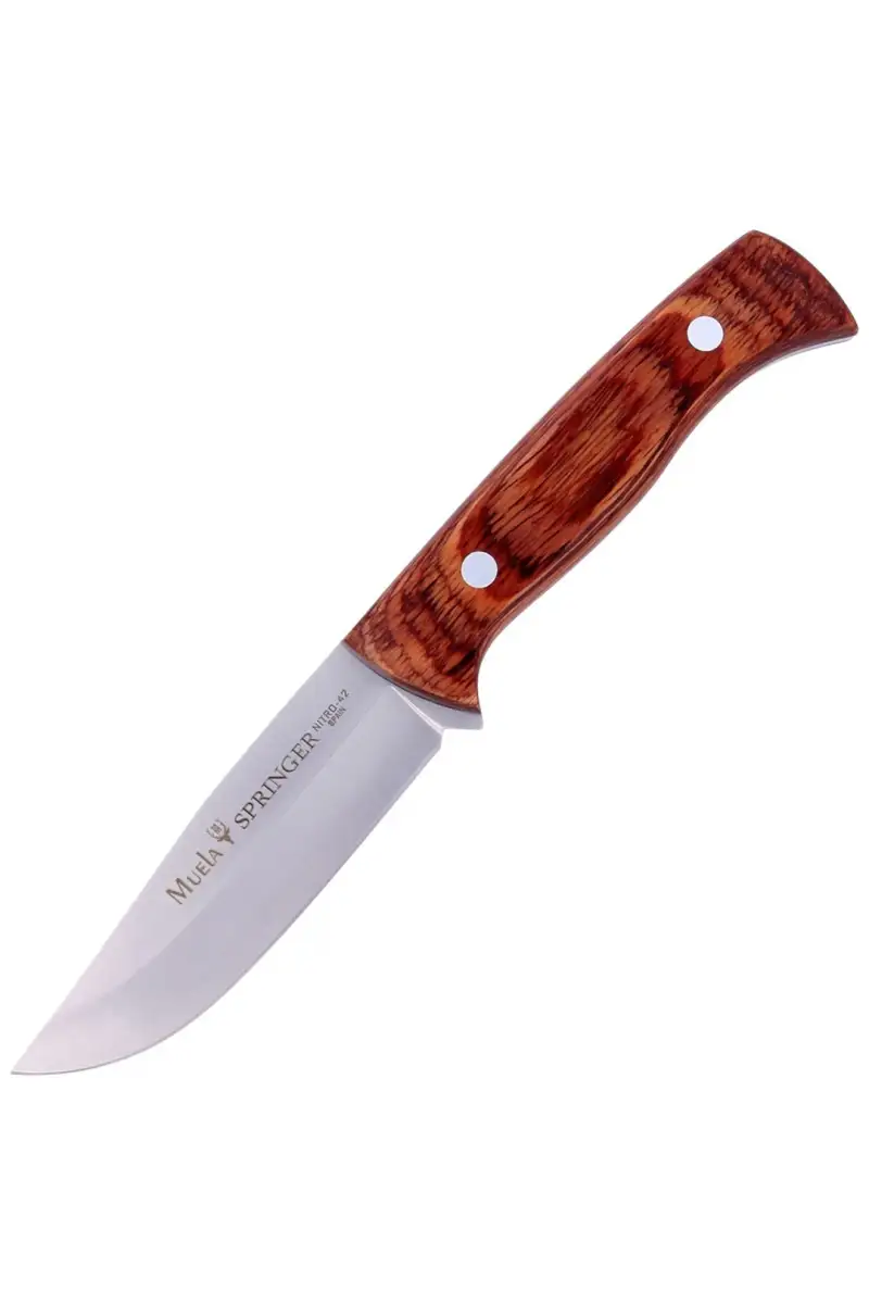 Nóż Muela Springer PakkaWood 110mm (SPRINGER-11R)