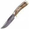 Nóż Muela Braco Deer Stag, Damascus 110mm (BRACO-1