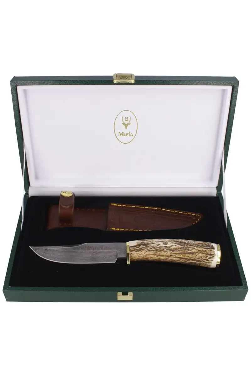 Nóż Muela Braco Deer Stag, Damascus 110mm (BRACO-1