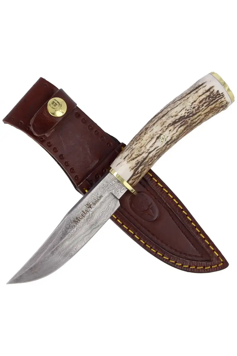 Nóż Muela Braco Deer Stag, Damascus 110mm (BRACO-1