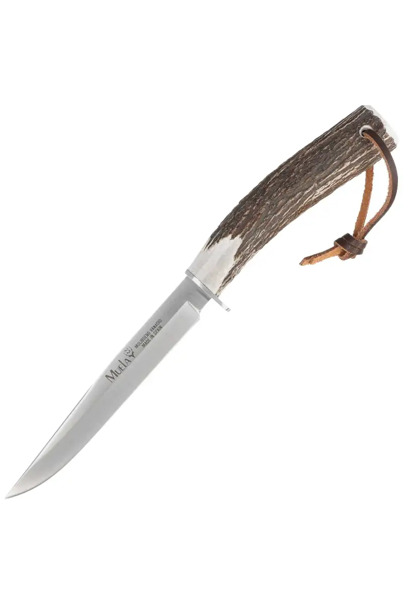 Nóż Muela Gredos Deer Stag, Satin X50CrMoV15 (GRED-14)
