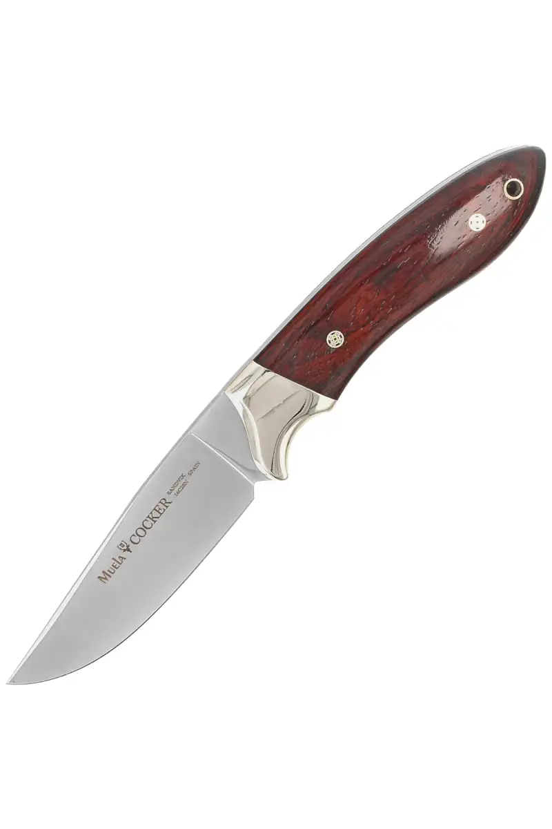 Nóż Muela Cocker-11CO Cocobolo Wood, Mirror 14C28N