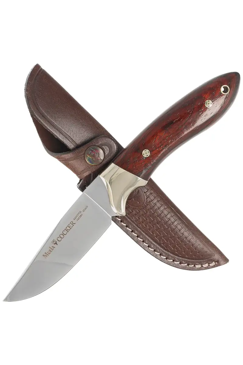 Nóż Muela Cocker-11CO Cocobolo Wood, Mirror 14C28N