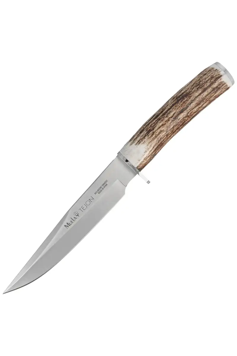 Nóż Muela Deer Stag, Satin X50CrMoV15 (TEJON-16)