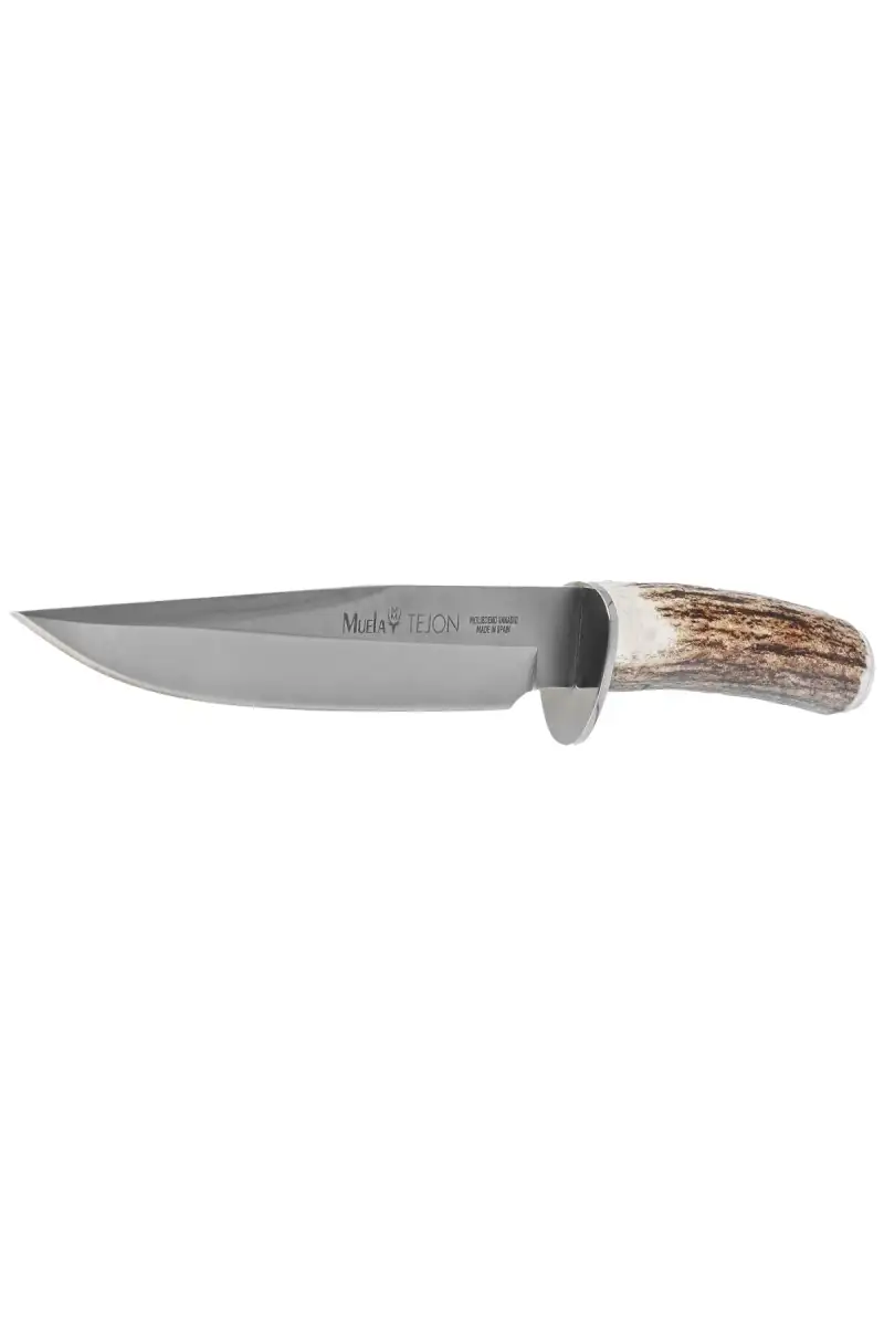 Nóż Muela Deer Stag, Satin X50CrMoV15 (TEJON-16)