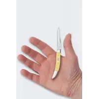 Nóż Składany Case Small Texas Toothpick SS Yellow