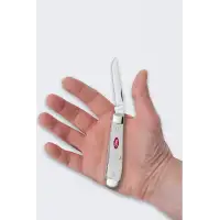 Nóż Składany Case SparXX Mini Trapper SS White