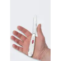 Nóż Składany Case SparXX Trapper SS White