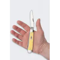 Nóż Składany Case Trapper SS Yellow
