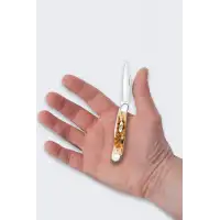 Nóż Składany Case Peanut SS Amber Bone