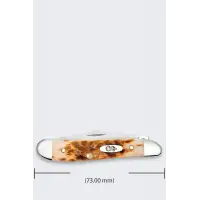 Nóż Składany Case Peanut SS Amber Bone