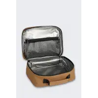 Izolowany Lunchbox Carhartt 4 Can Brown