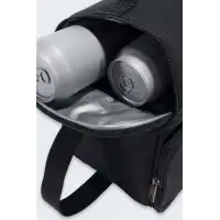 Izolowany Lunchbox Carhartt 12 Can Black