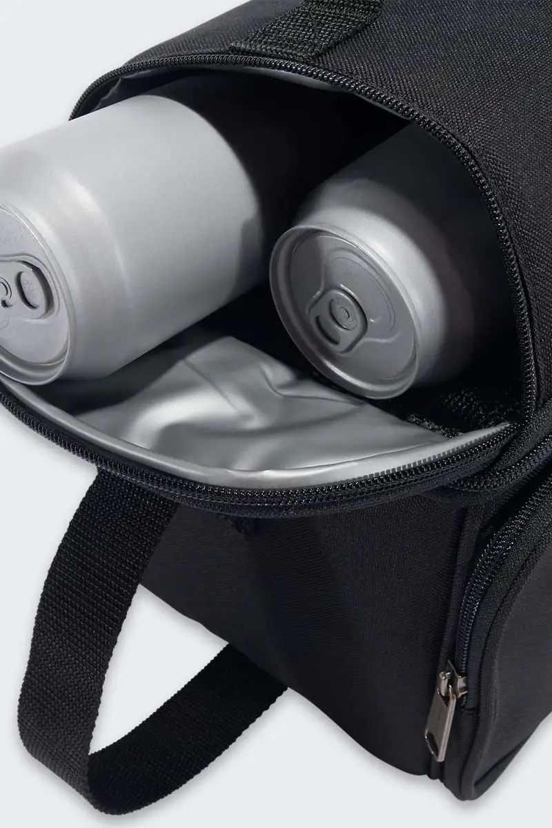 Izolowany Lunchbox Carhartt 12 Can Black